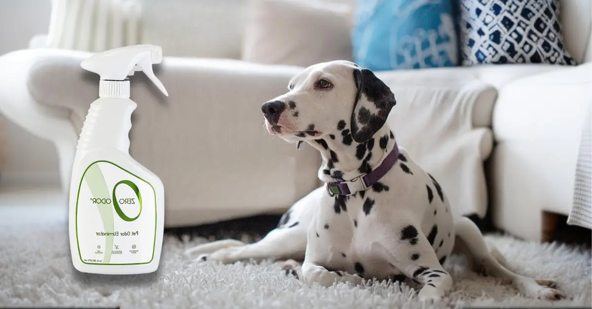 Best Carpet Freshener for Pet Odors