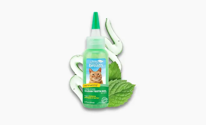 Best Plaque Remover for Cats